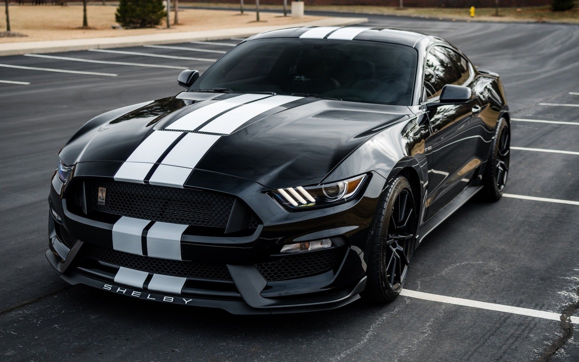 Shelby GT 350 Wallpapers Wallpaper Cave