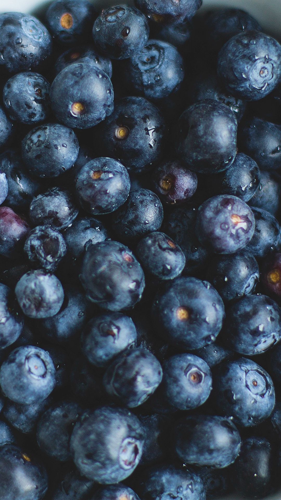 Blueberry Wallpaper. Blueberry Wallpaper