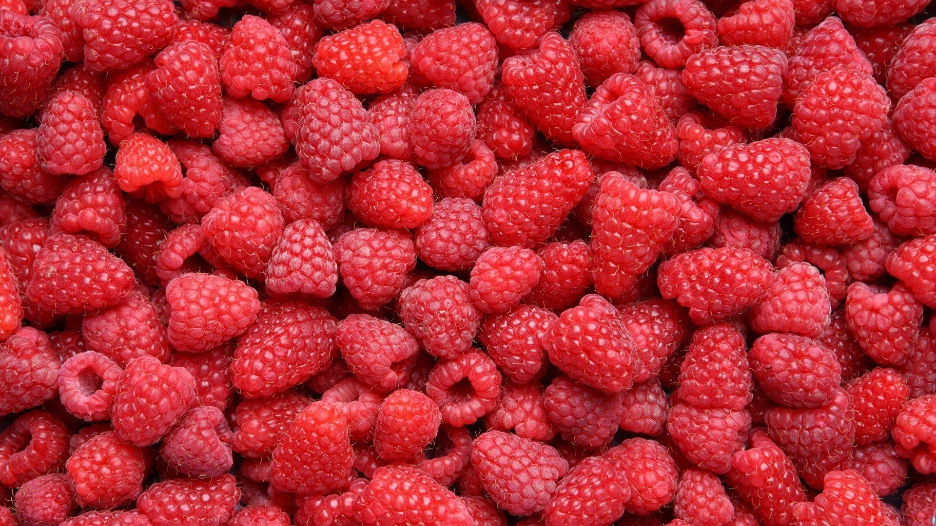 berries, Raspberries HD Wallpaper / Desktop and Mobile Image