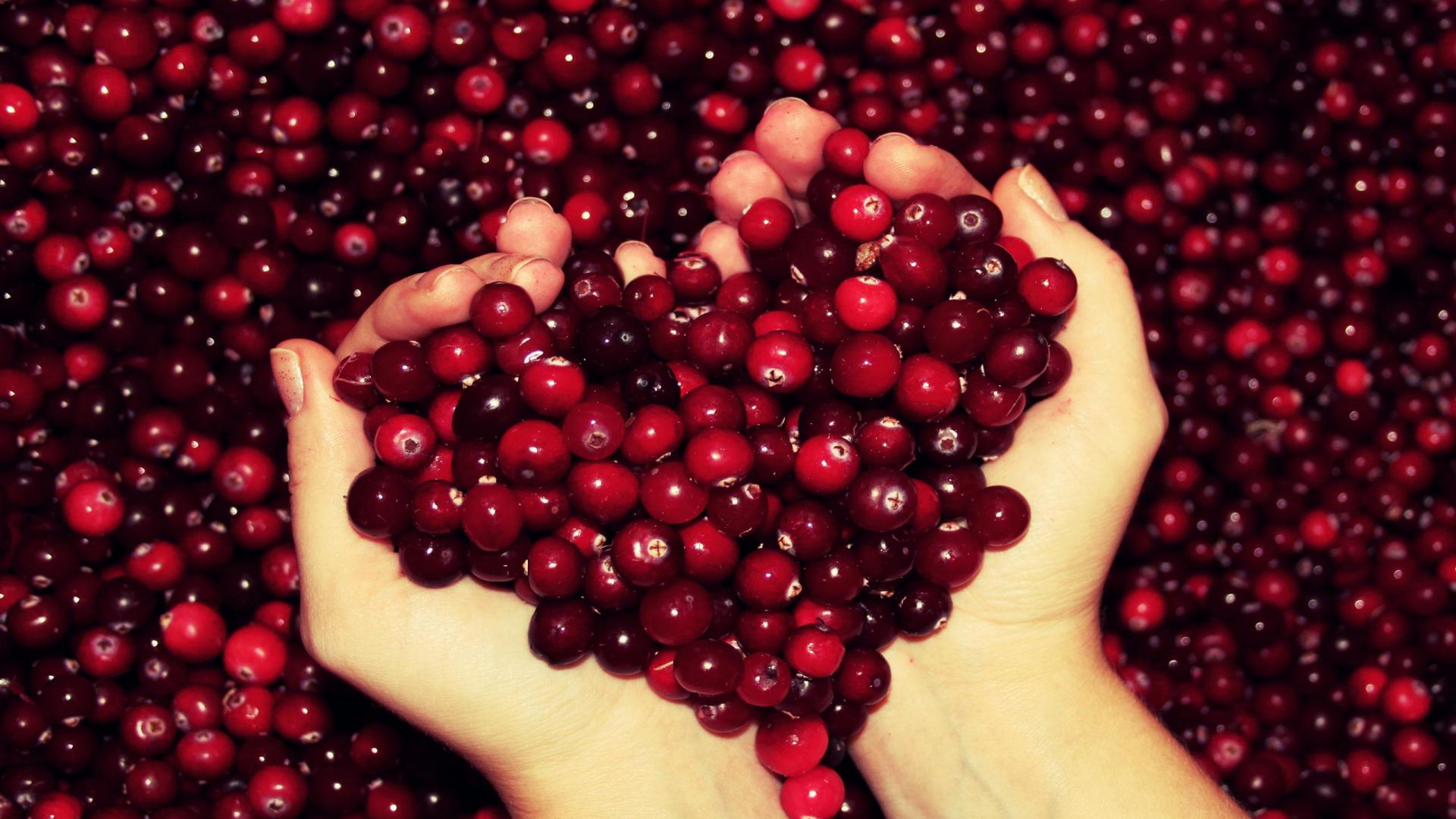 Berry Wallpaper