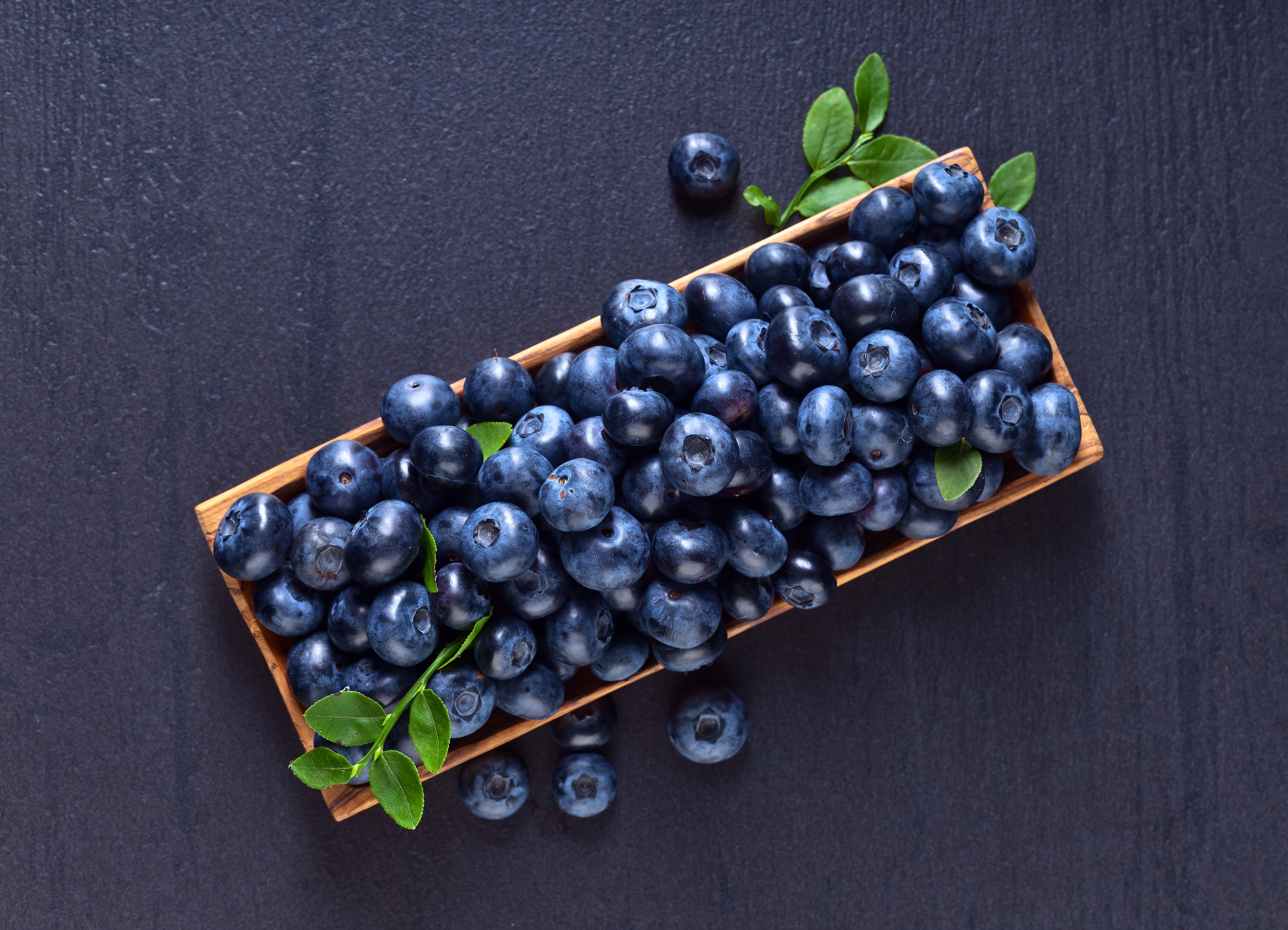 Wallpaper Blueberries Food Berry Many Gray background 5070x3660