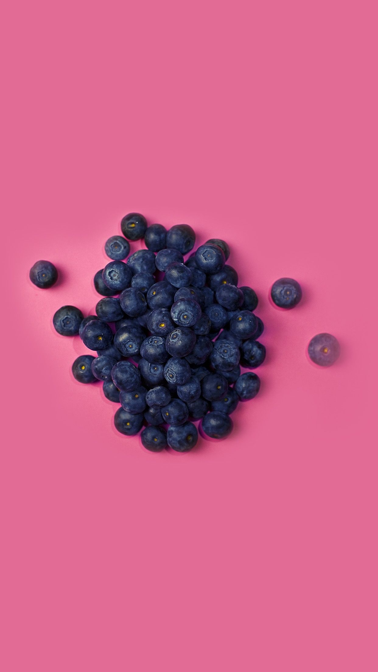 Food Blueberry Pink Art Nature Download Free HD Wallpaper