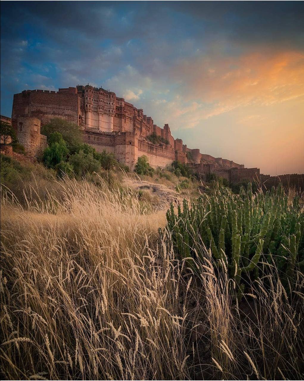 Jodhpur fort wallpaper