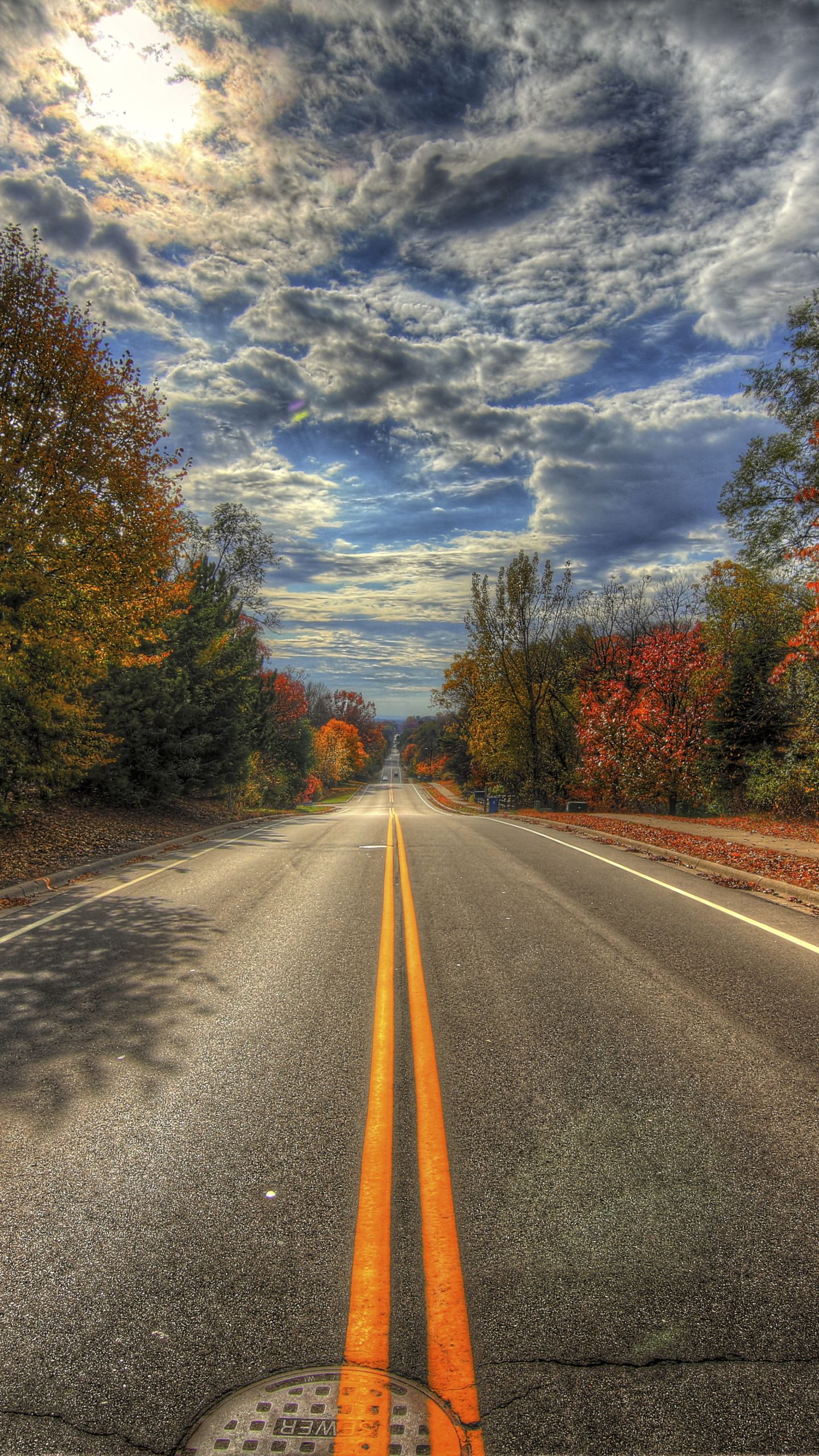 Man Made Road (1440x2560) Wallpaper