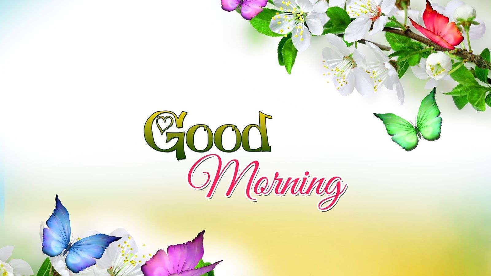 Free download Good morning wishes to friends and family wallpaper
