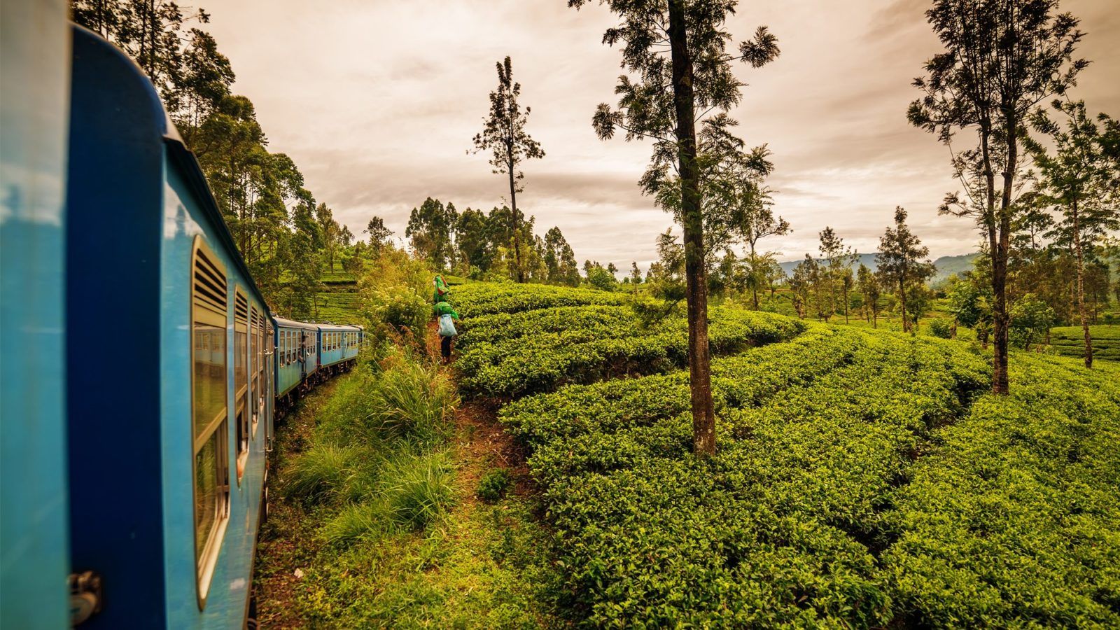 Exotic Train Journeys In Hatton Sri Lanka Lanka Full HD