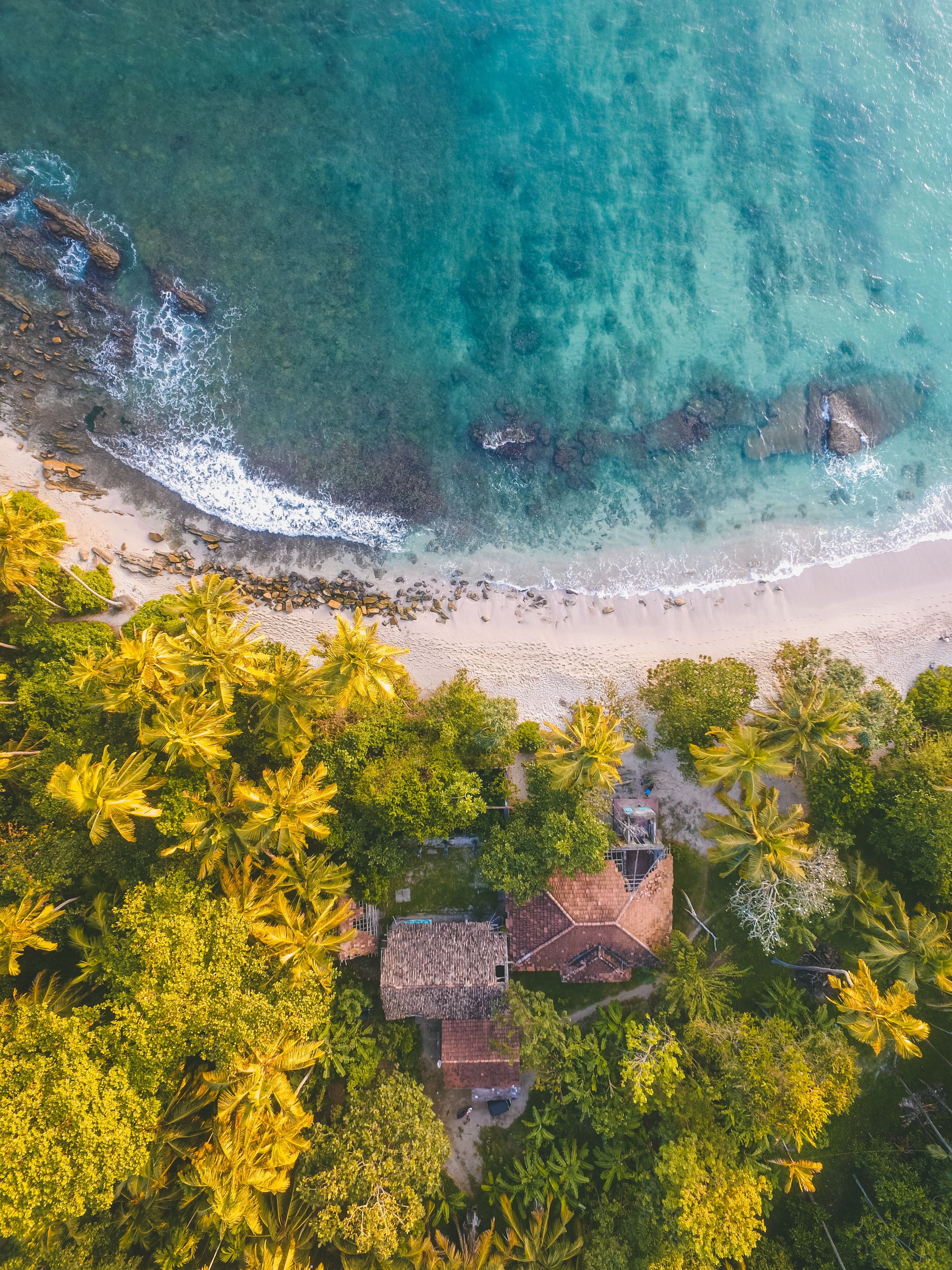 Bird Eye Photography Of Beach Line Beside Trees Lanka