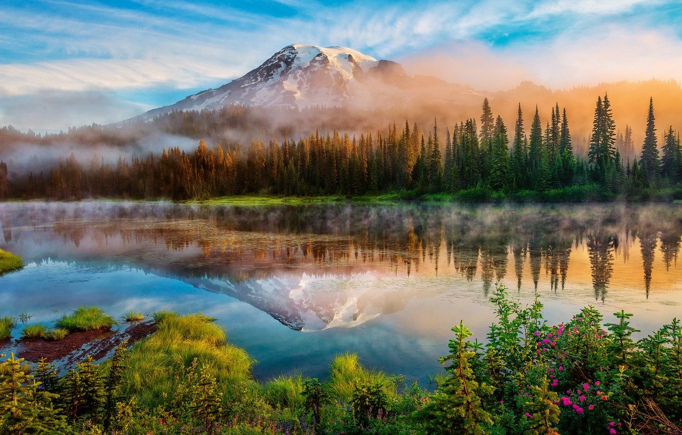 Wallpaper forest, summer, reflection, fog, lake, mountain, morning