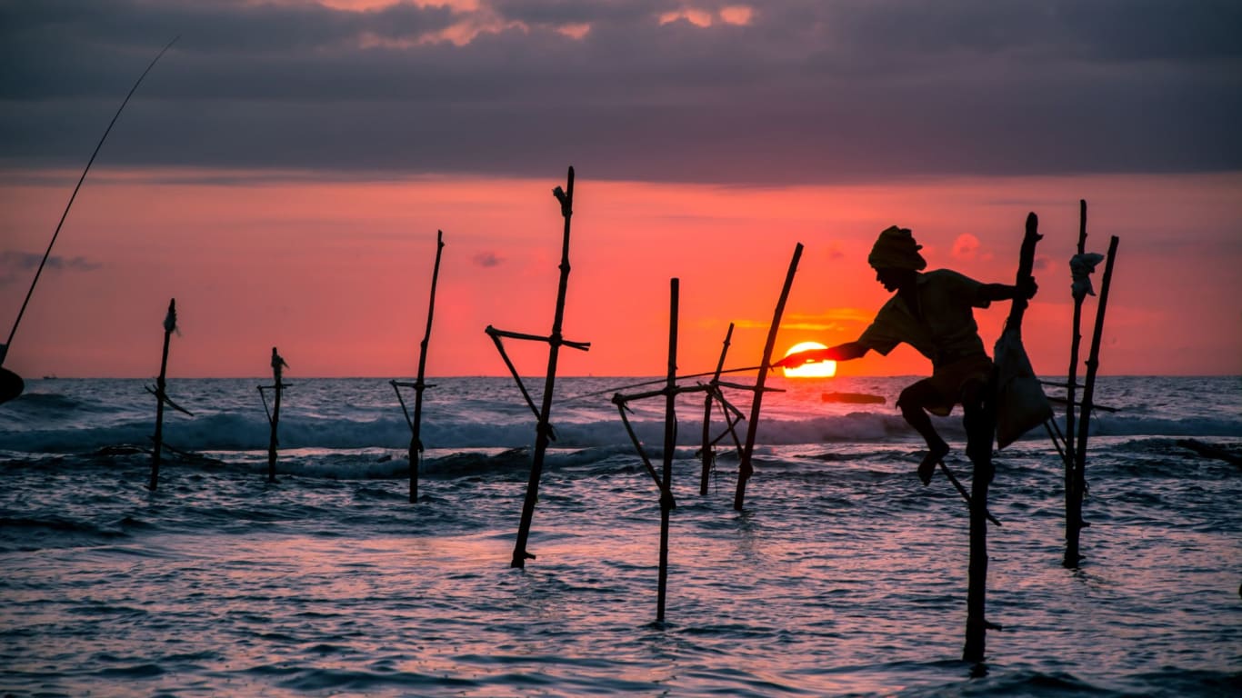 Sri Lanka Tours. Best Luxury Sri Lanka Tours & Travel Packages