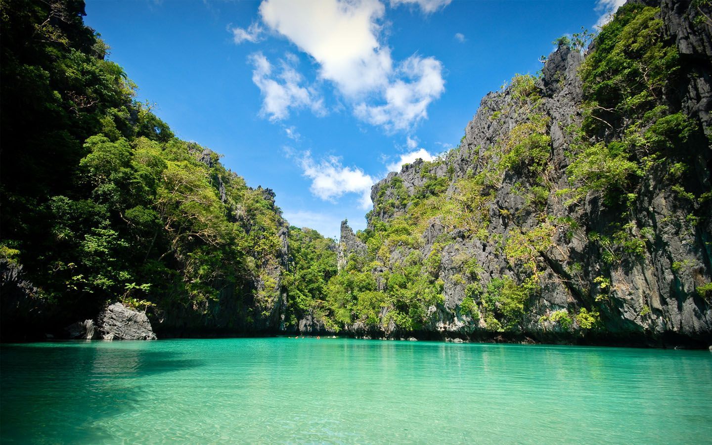 Free download Palawan Philippines HD Walls Find Wallpaper