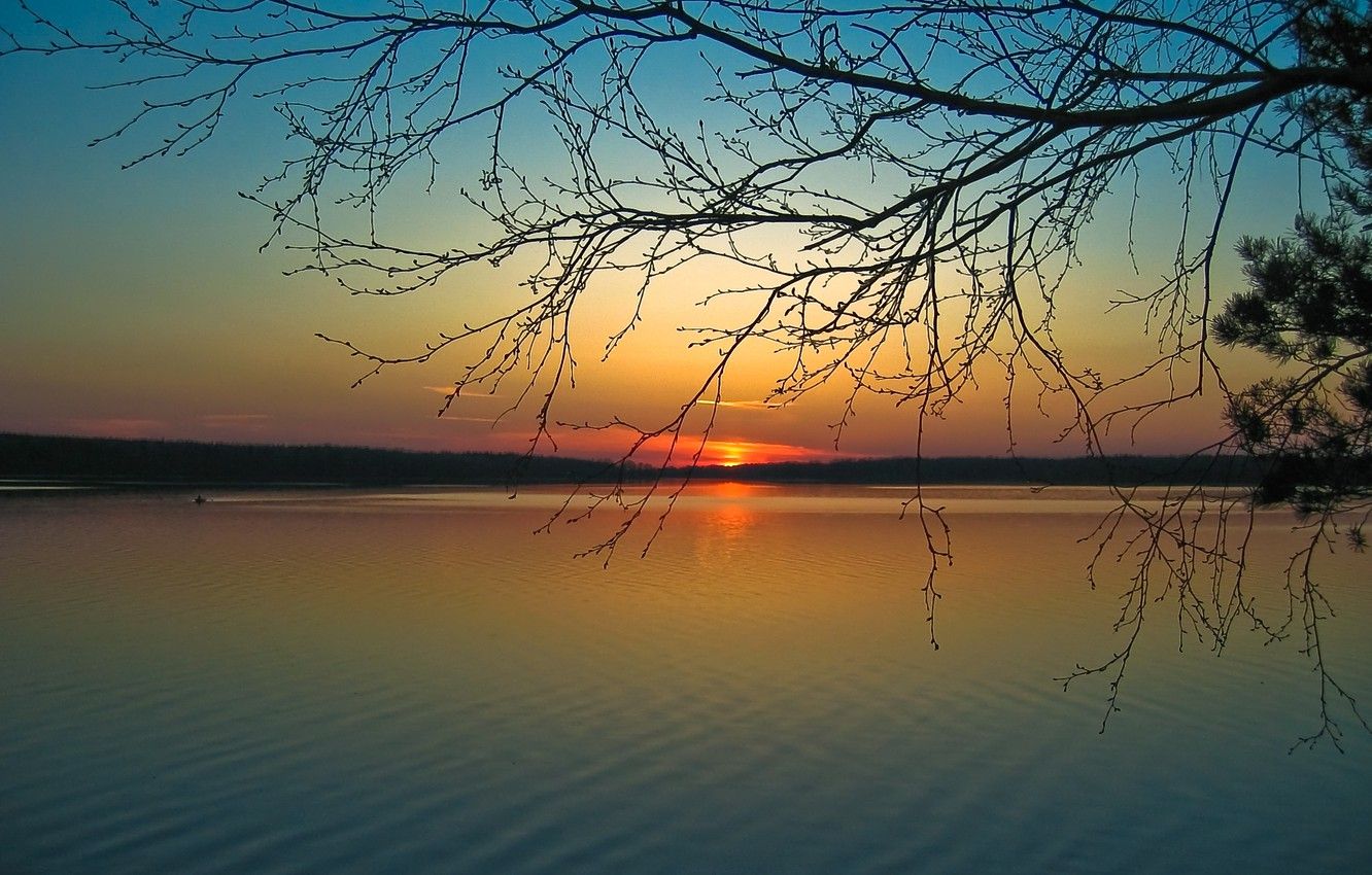 Wallpaper the sun, sunset, river, branch, shore, calm, silence