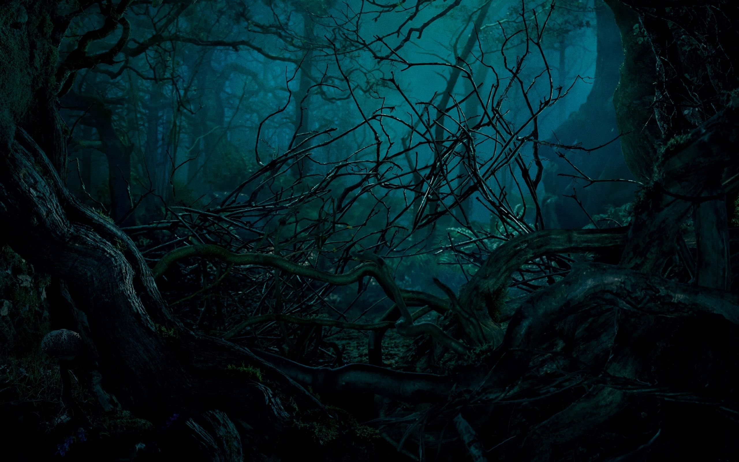 Into the Woods Wallpaper. Winter Woods