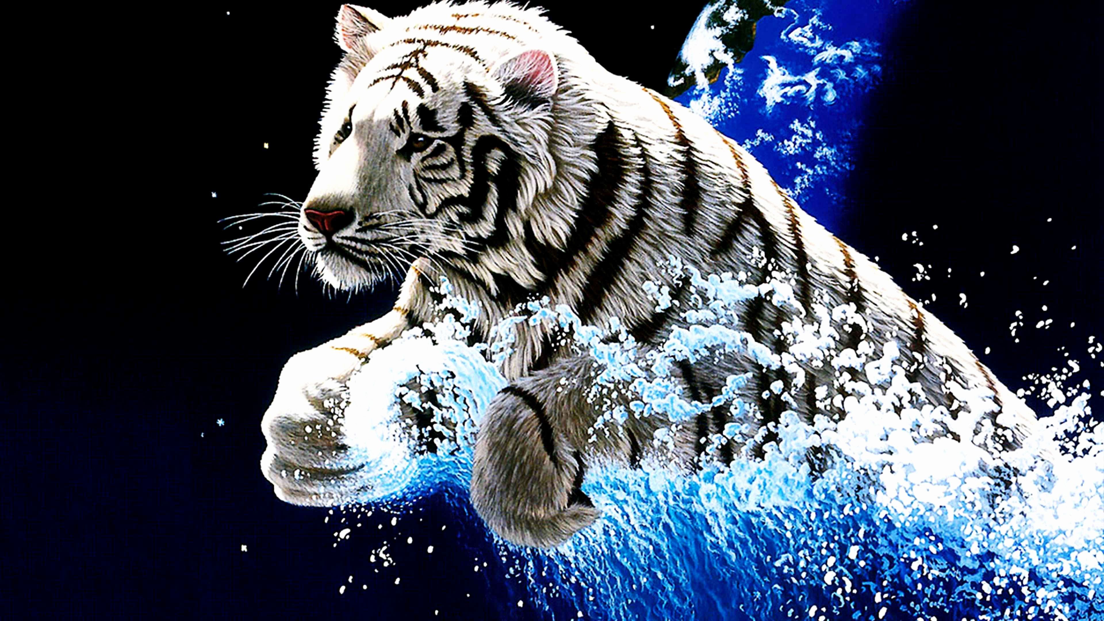 Tiger Wallpapers  Top Free Tiger Backgrounds  WallpaperAccess