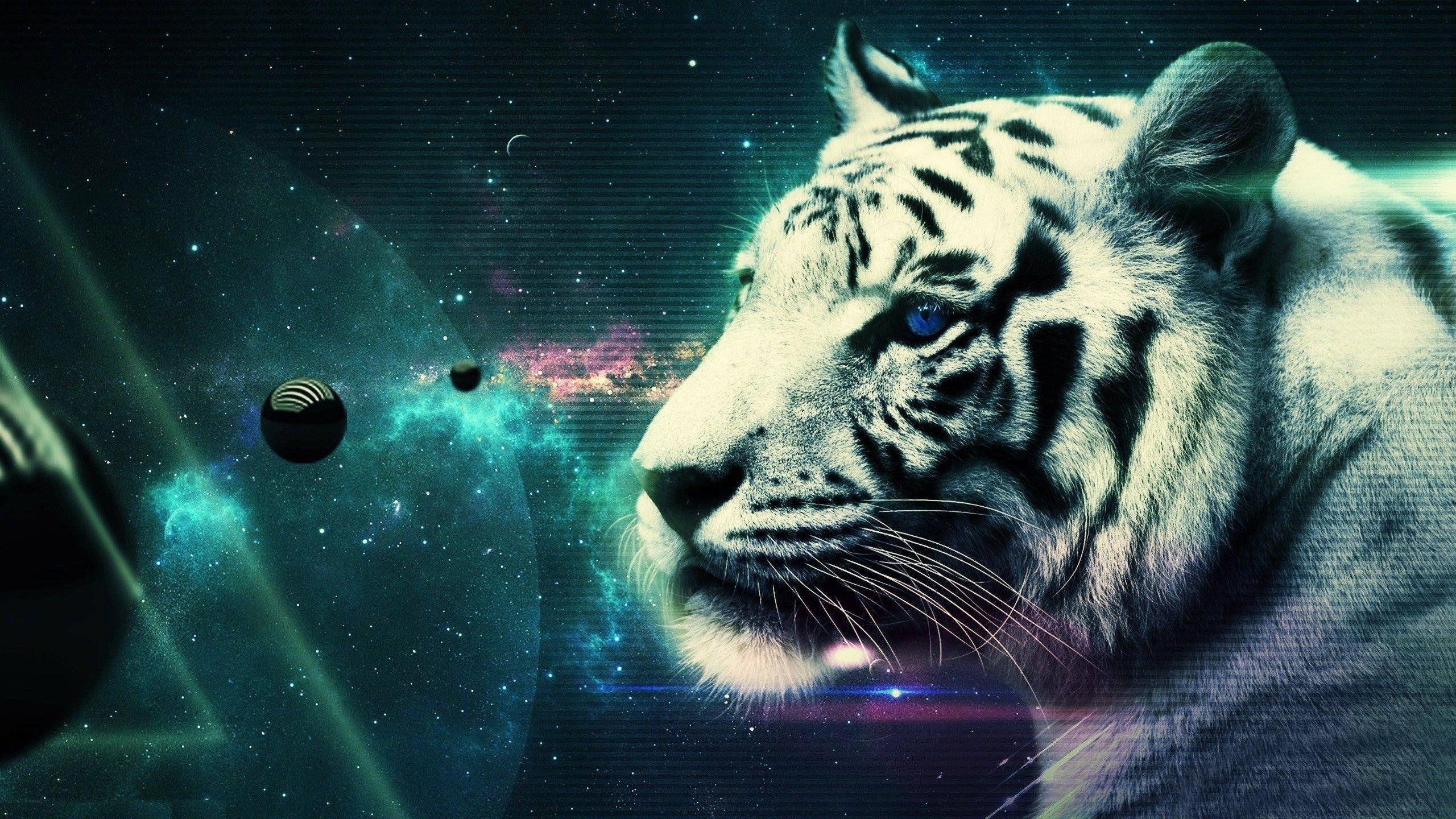 Cool Background Cool Tiger Wallpaper