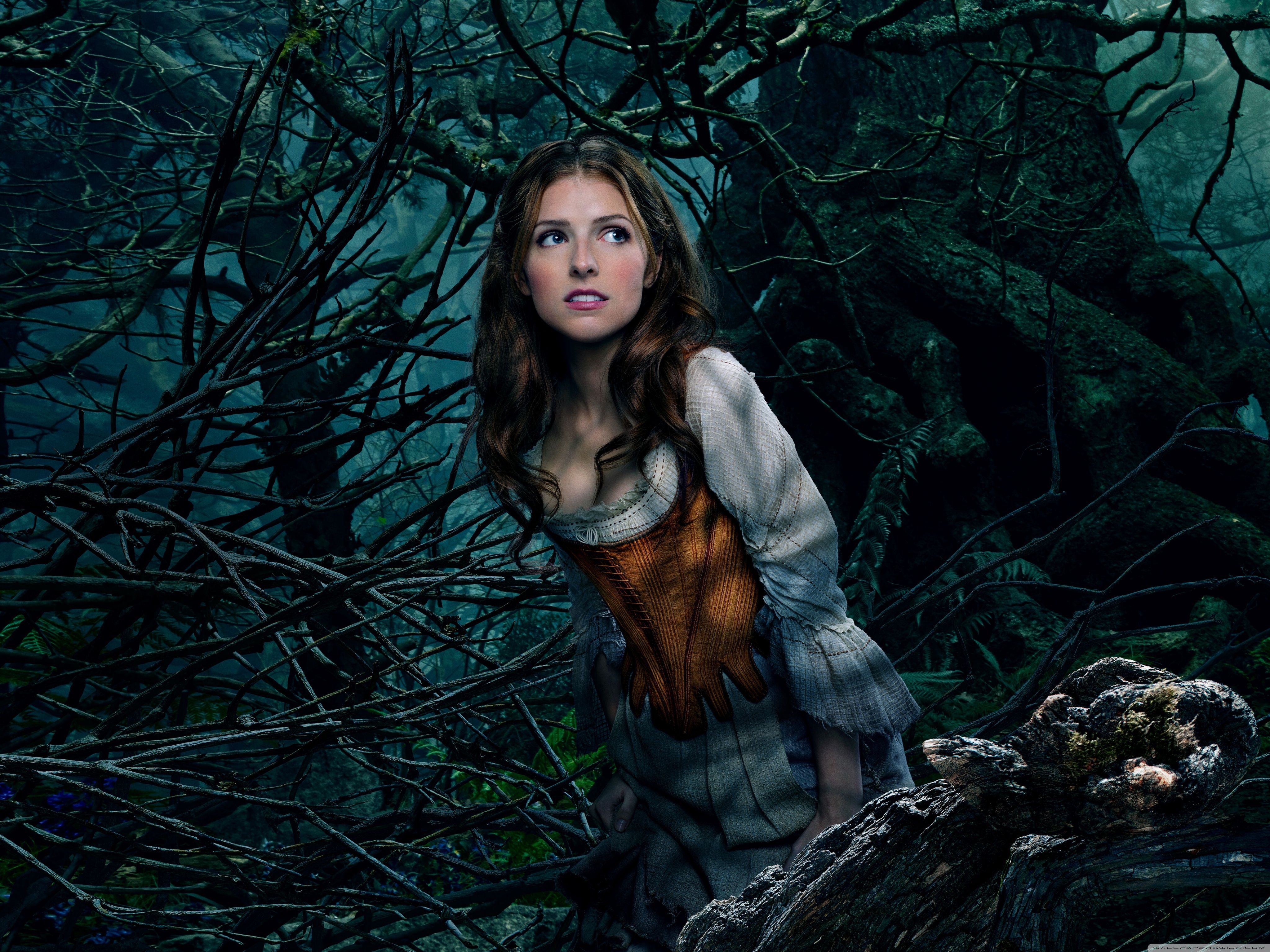 Into the Woods Anna Kendrick as Cinderella Ultra HD Desktop