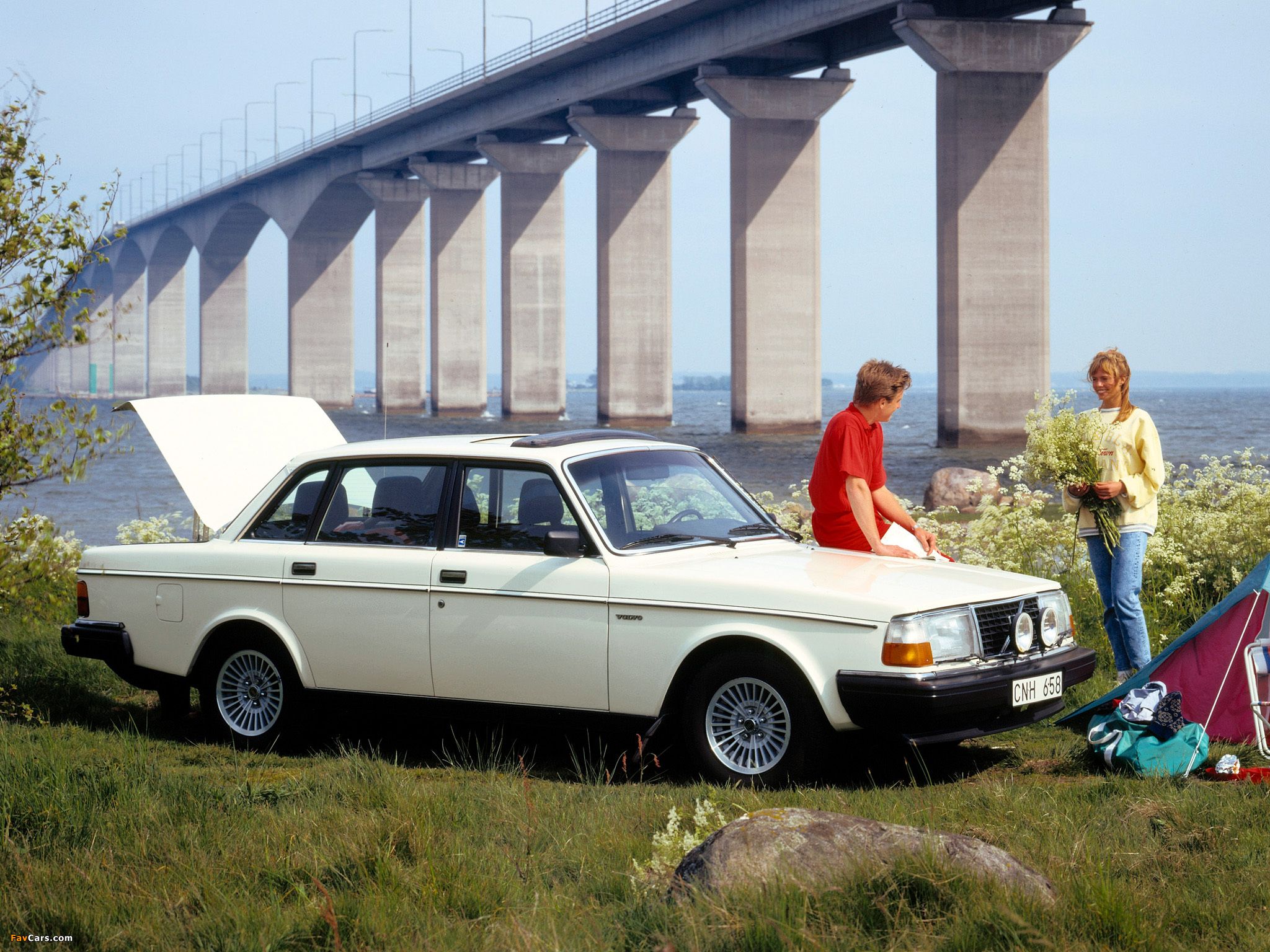 Volvo 244 GL 1979–81 wallpaper