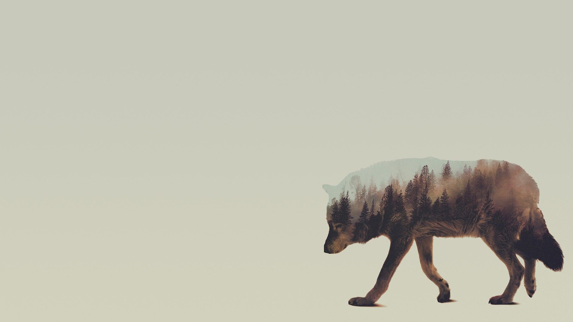 #double exposure, #Andreas Lie, #animals, #wolf wallpaper