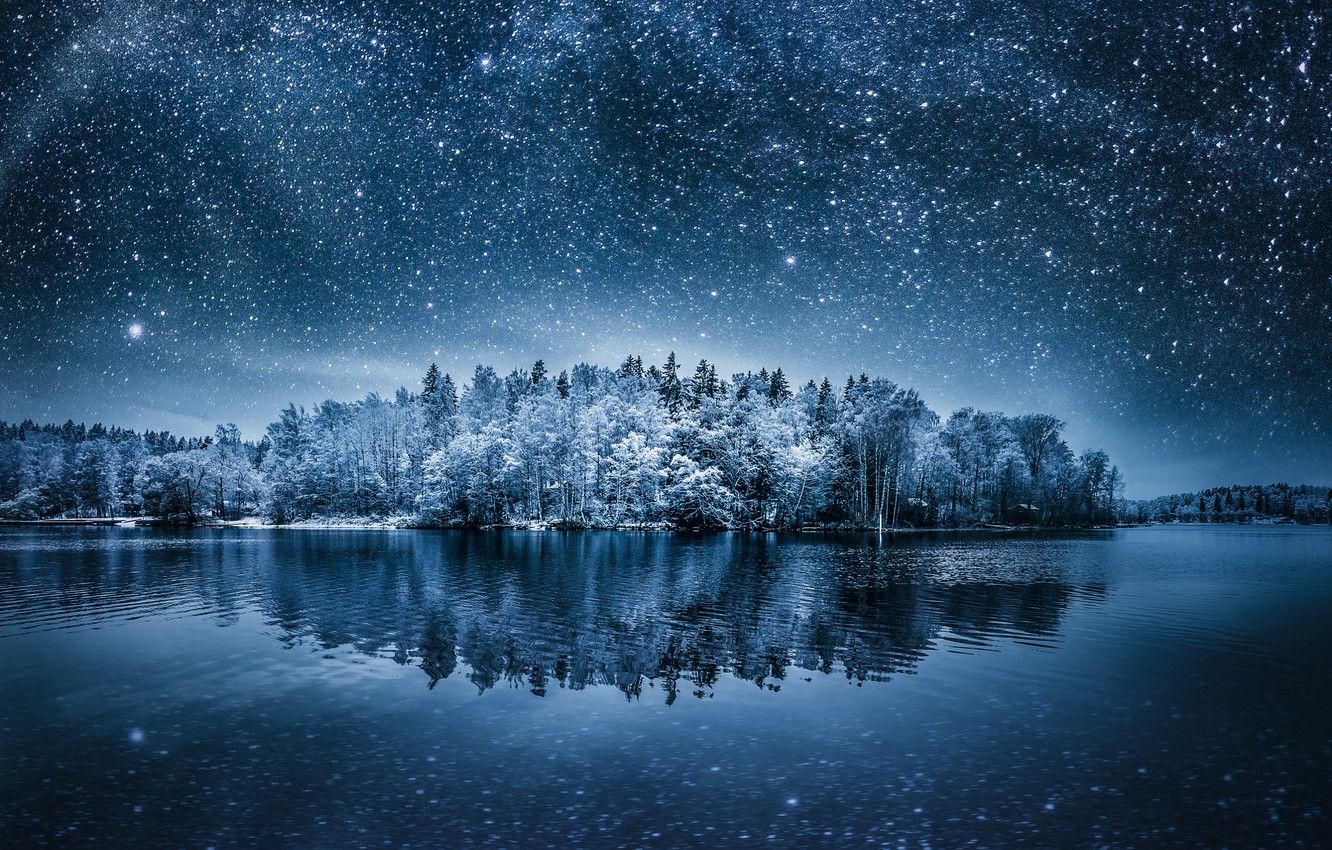 Wallpaper the sky, trees, night, reflection, stars, Winterland