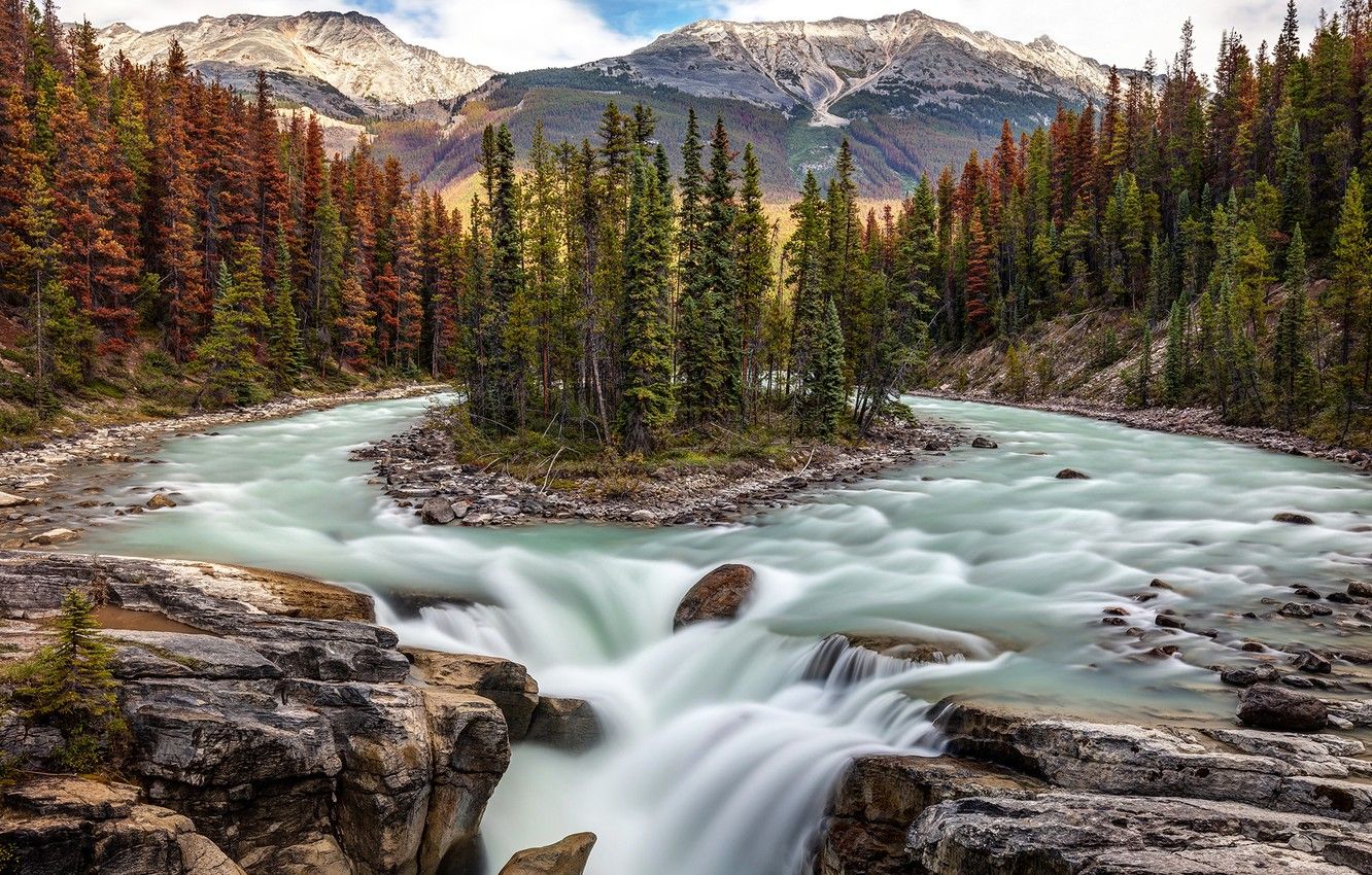 Wallpaper forest, trees, river, waterfall, Canada, Albert, Alberta