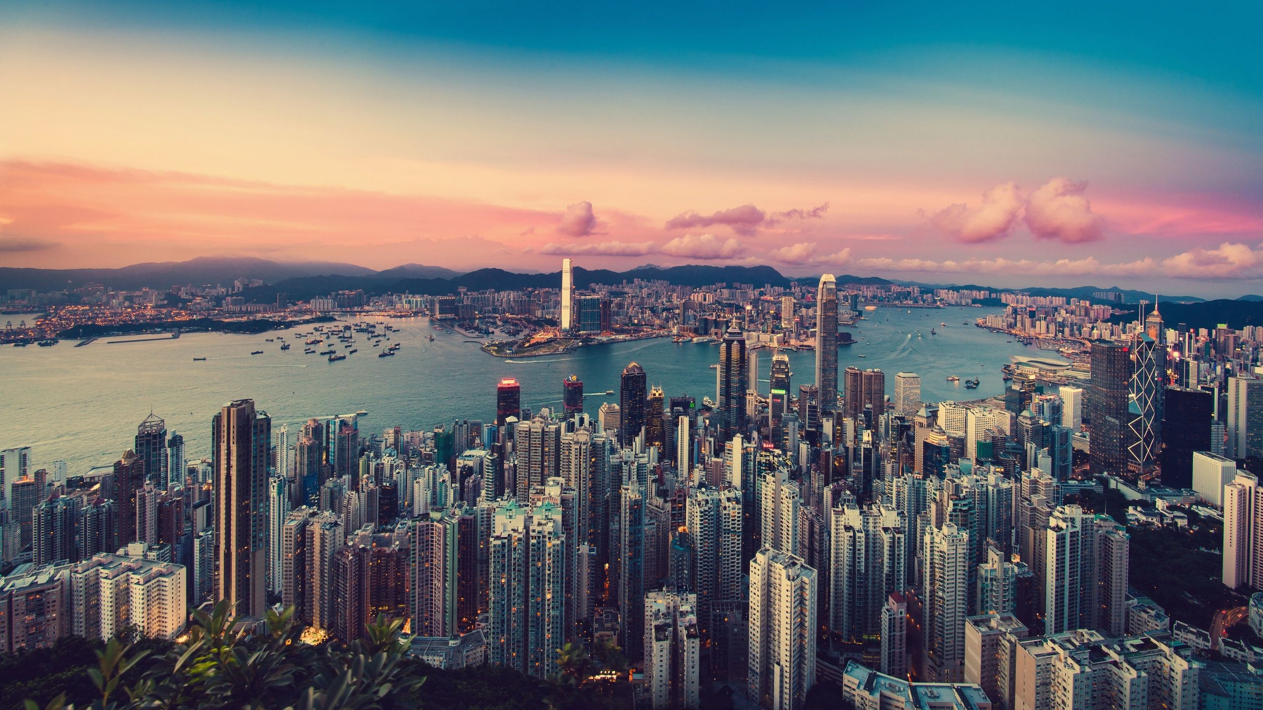 Hong Kong 8K 1440P Resolution Wallpaper, HD City 4K