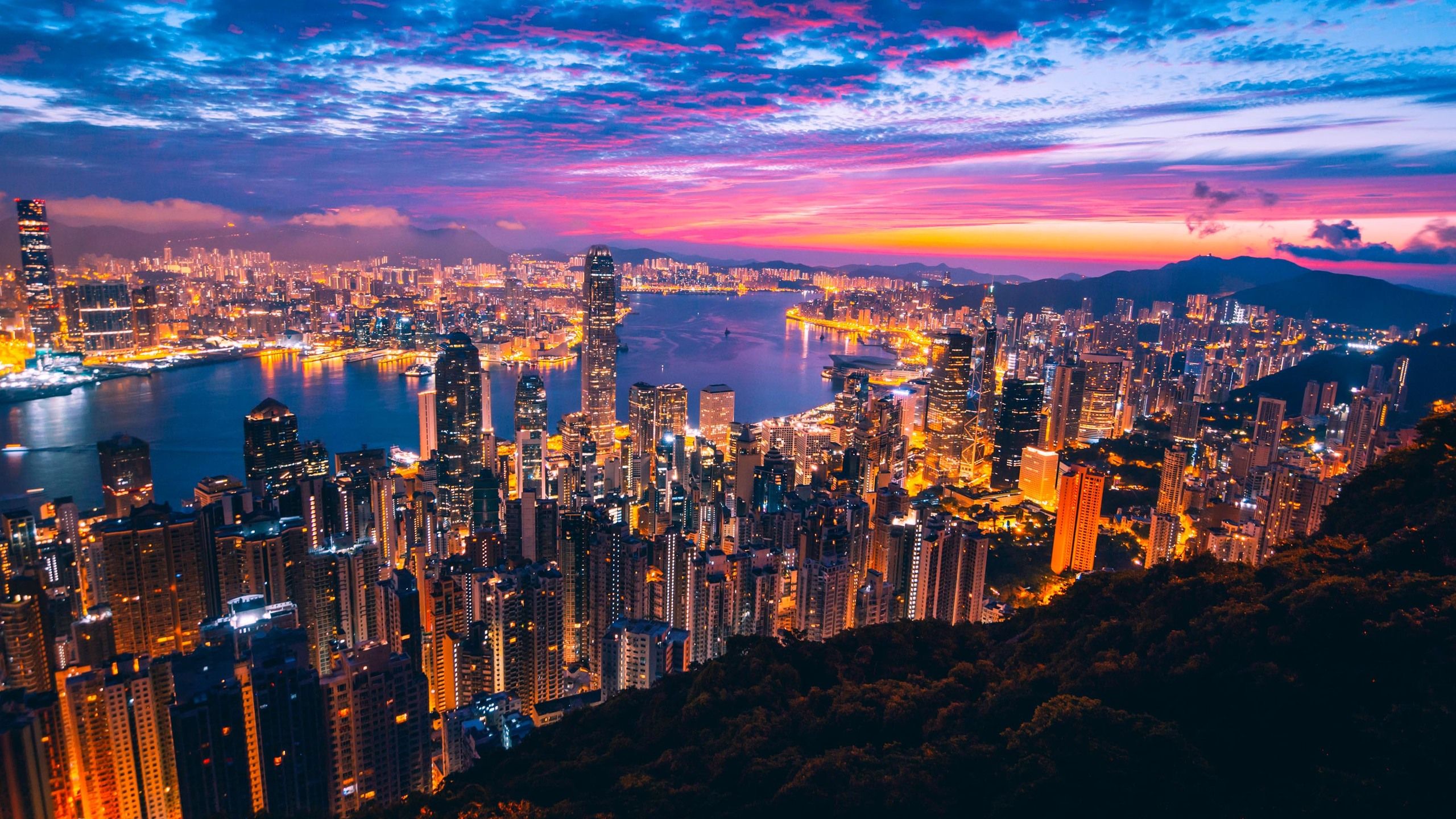 Hong Kong City View Buildings Light Night 1440P