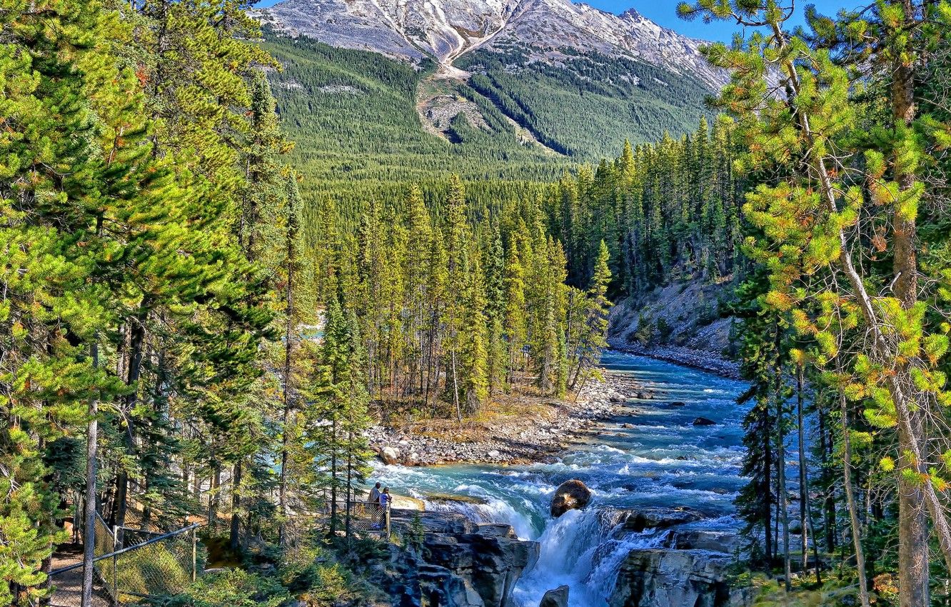 Wallpaper forest, mountains, river, waterfall, Canada, Albert