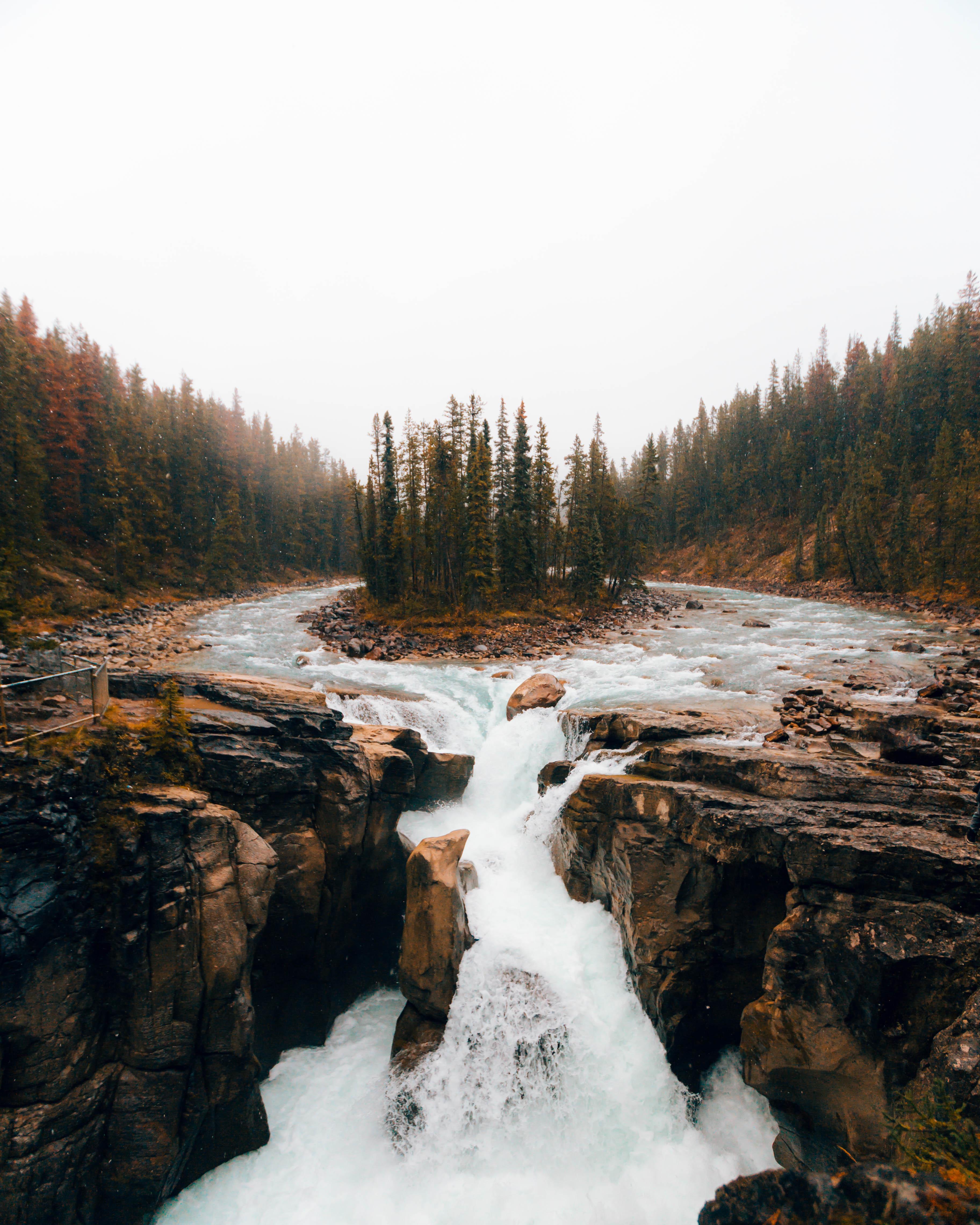 Sunwapta Falls in Jasper National Park, Alberta. [OC] [3648 x 4560