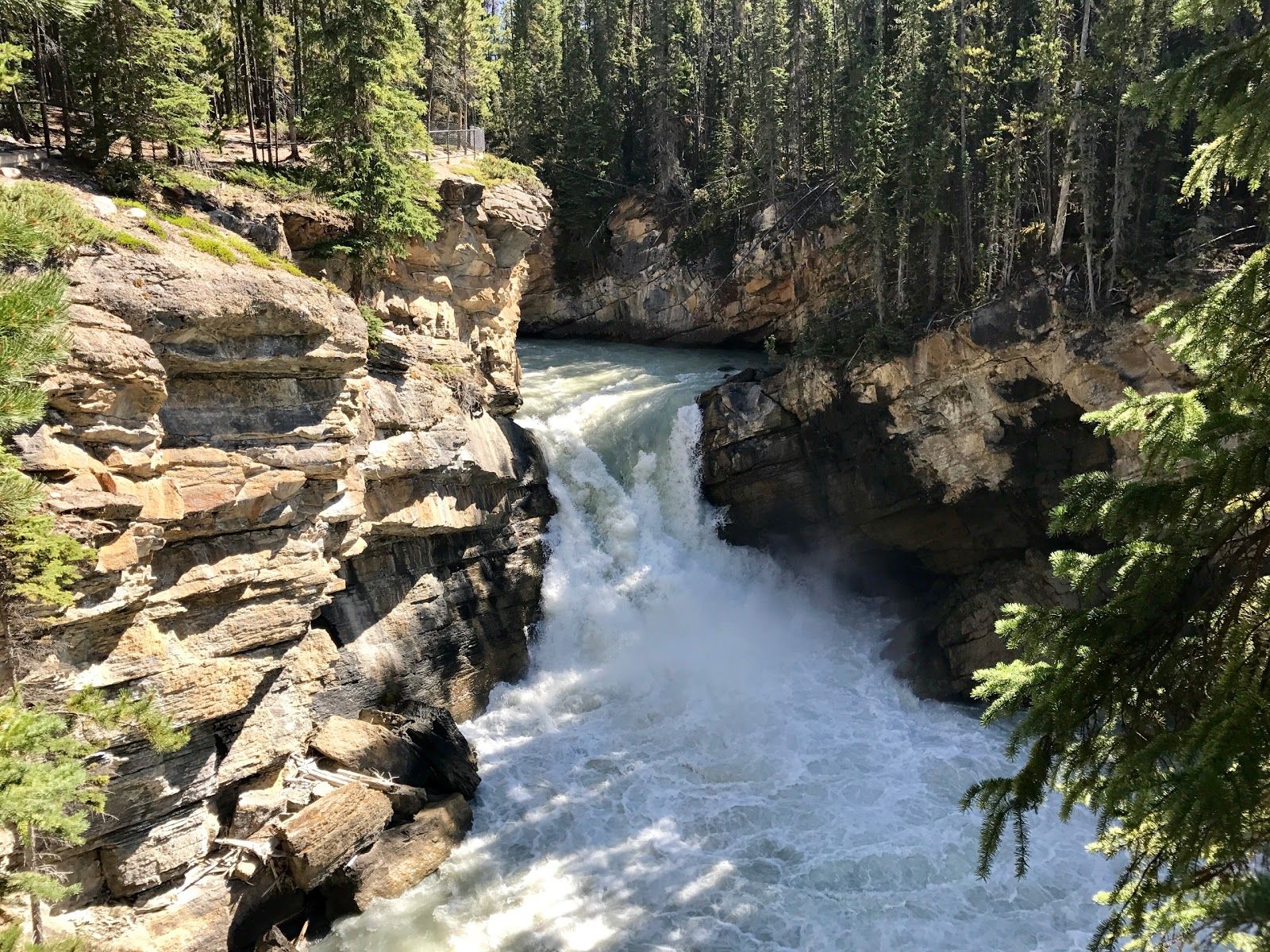 Visit Sunwapta Falls on your trip to Jasper National Park or Canada