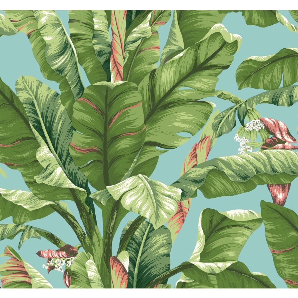 York Wallcoverings Tropics Banana Leaf Wallpaper AT7070 Home