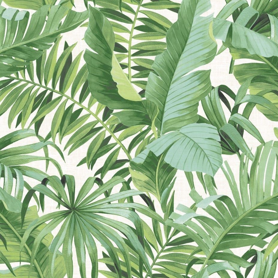 Green Tropical Leaf Palm Tree Wallpaper White Paste The Wall A
