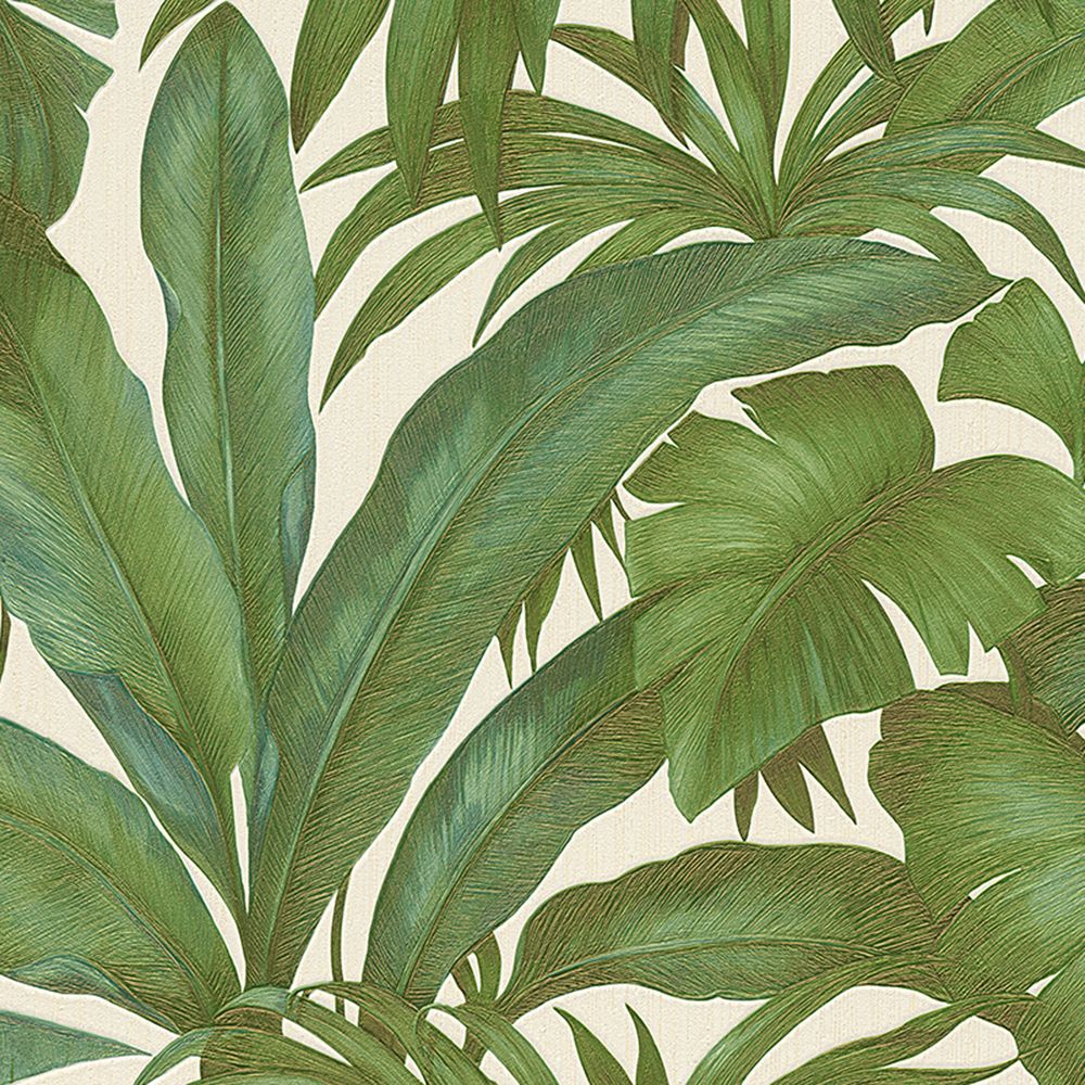 Versace Giungla Banana Palm Leaves Wallpaper. Green and Cream