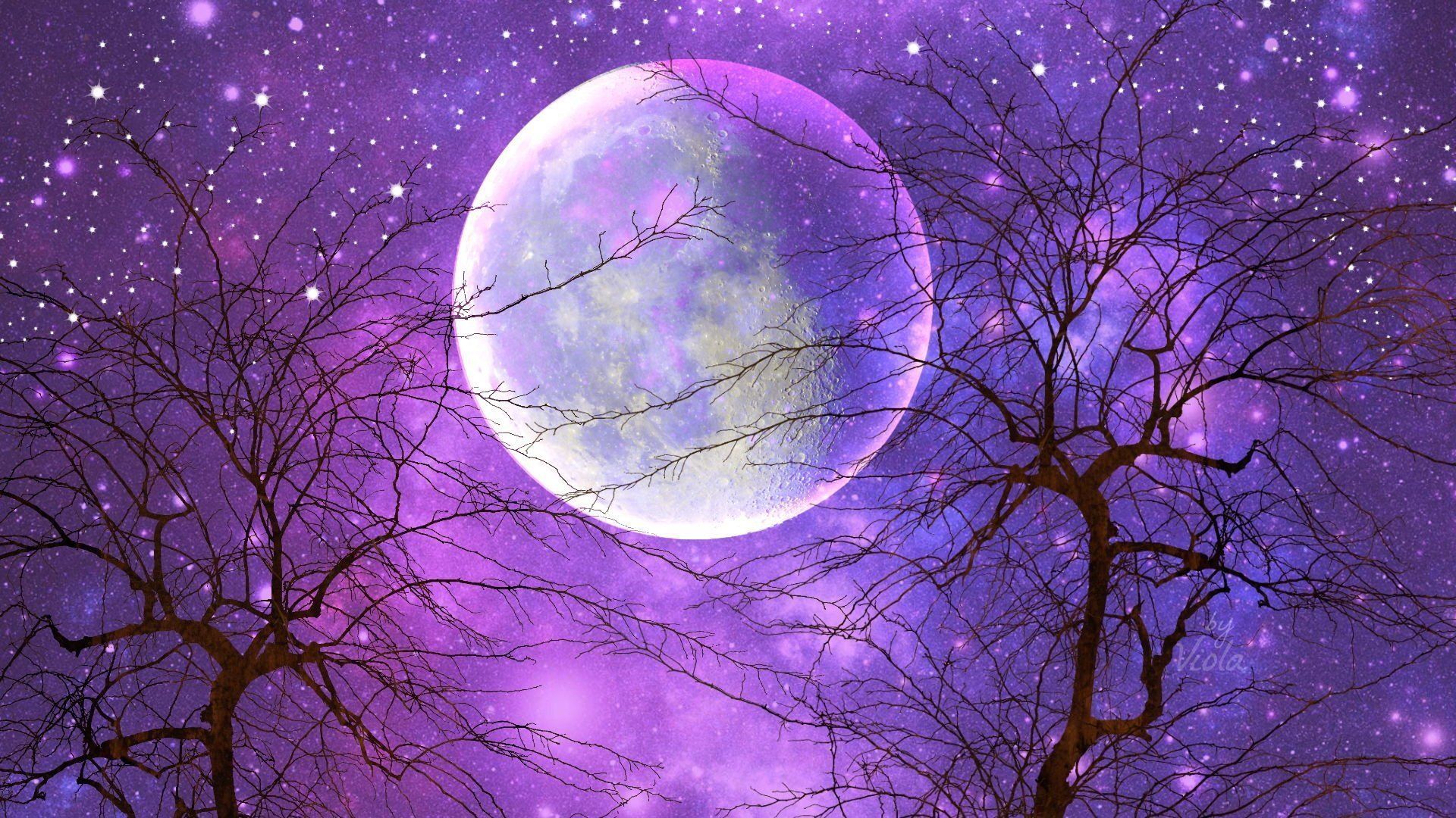 Purple Night Sky Moon Wallpaper