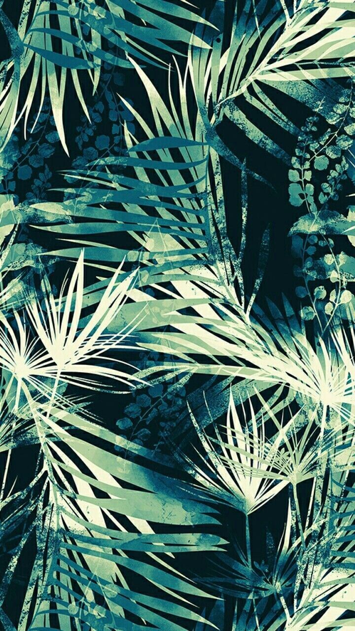 iPhone Wallpaper. Vegetation, Plant, Tree, Leaf, Palm tree, Arecales