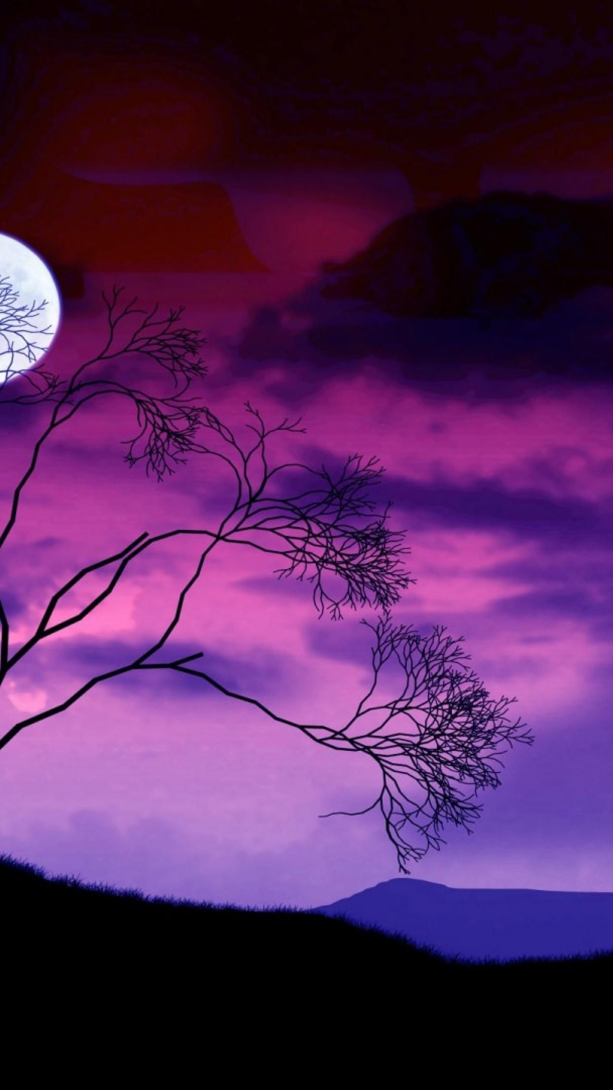 Blue Night And Moon Nature HD Wallpaper