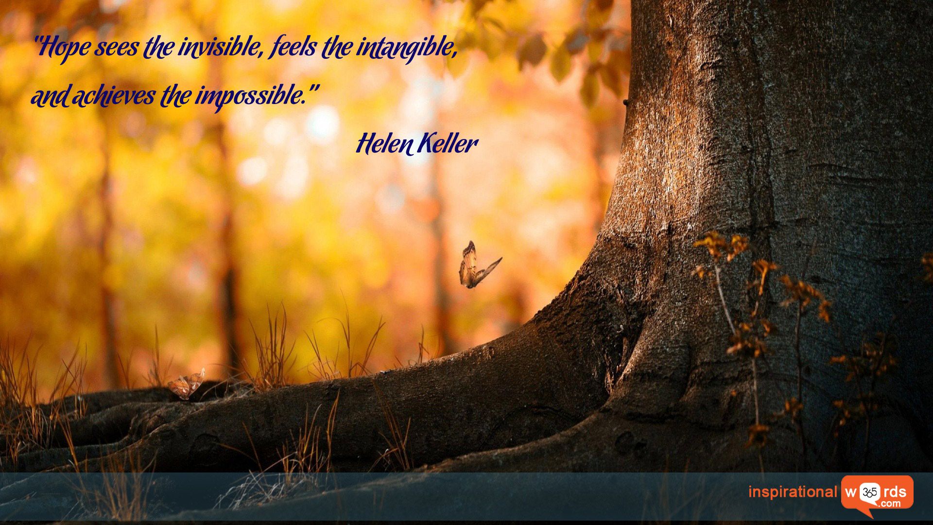 Keller Wallpaper. Keller Wallpaper