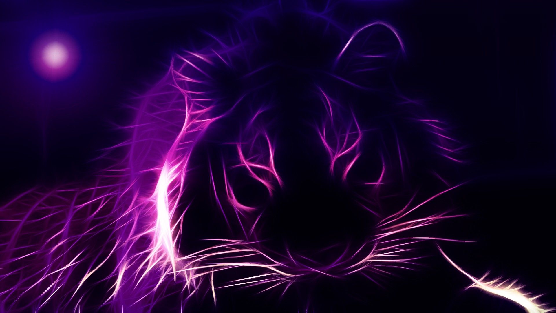 fractalius, purple, white tiger, lions, white violets wallpaper