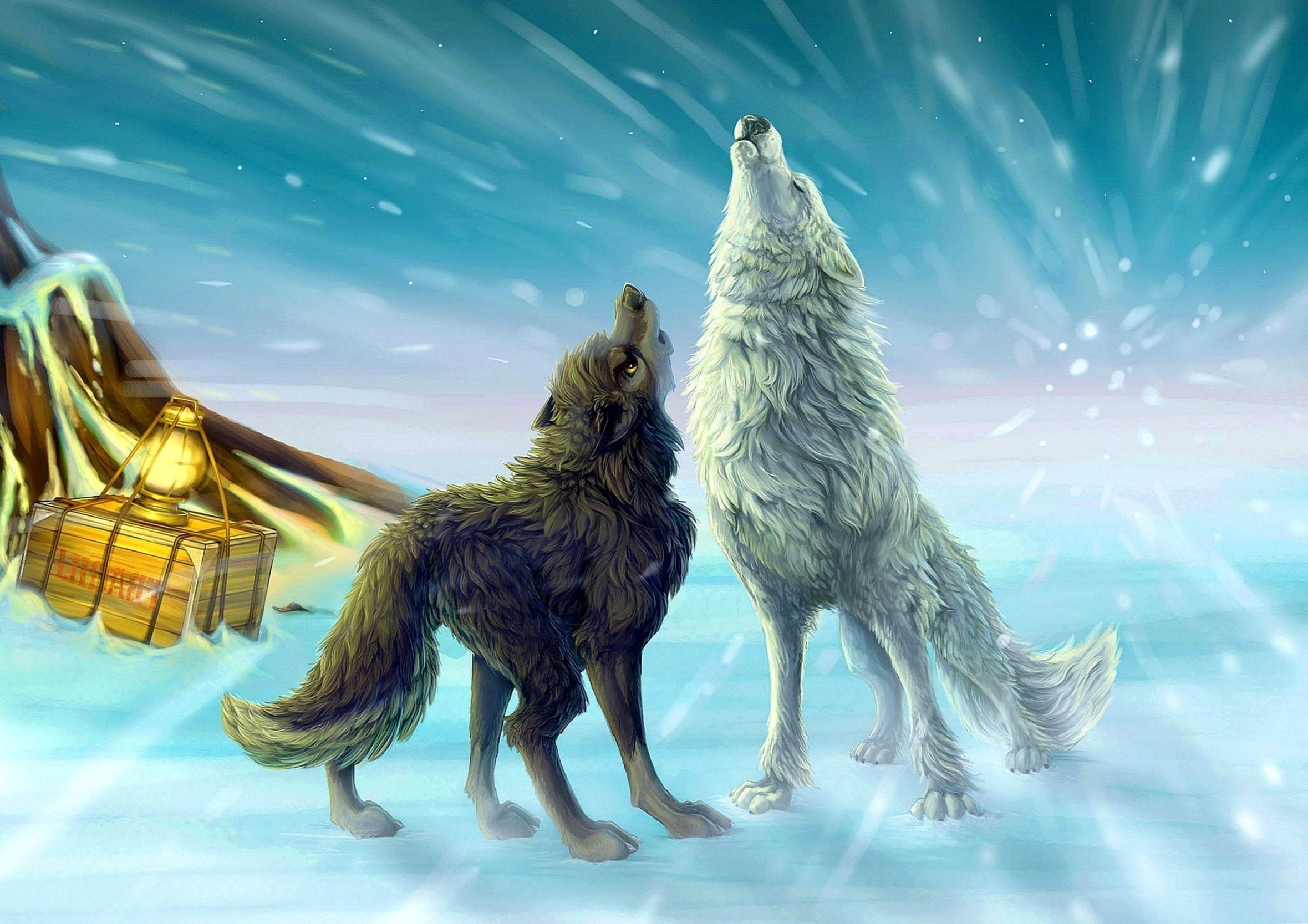 Wolf Animated Wallpaper HD Wallpaper.Pro