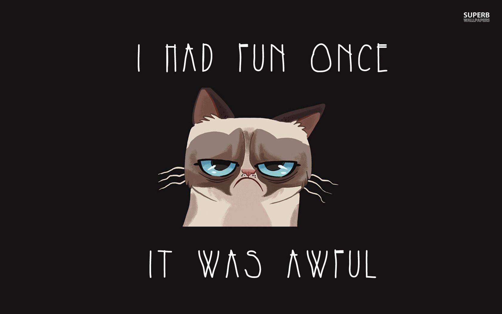 Grumpy Cat wallpaper. Grumpy cat cartoon, Grumpy cat quotes, Grumpy cat humor
