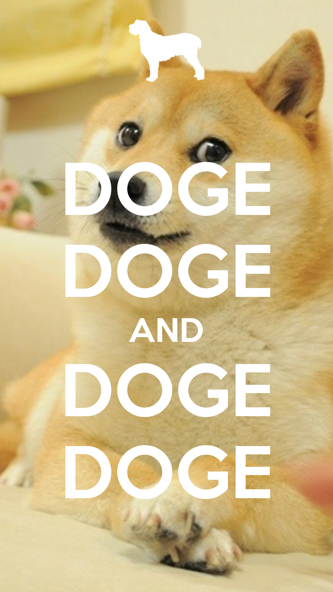 Doge Wallpaper iPhone. Doge meme, Doge, Doge dog
