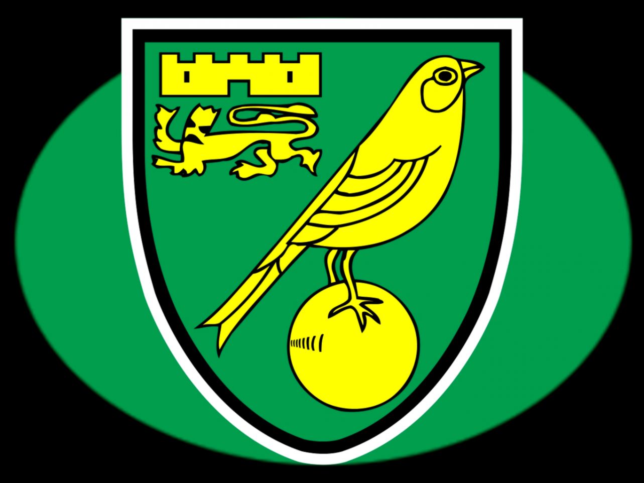 Football Wallpaper Norwich City Team Squad