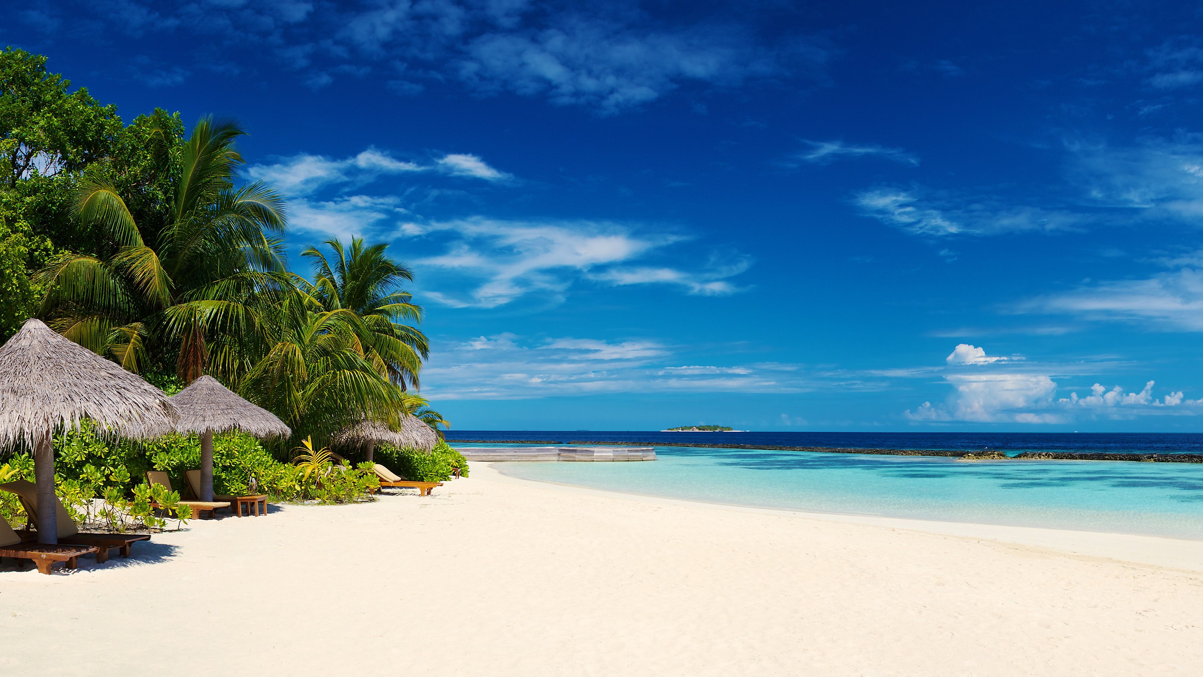 Tropical Beach Palm Trees 4K Desktop Wallpapers