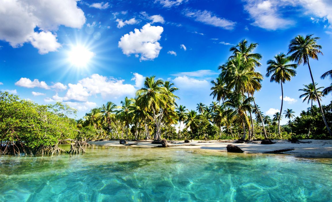 Sea tropical palm trees beach nature wallpapers
