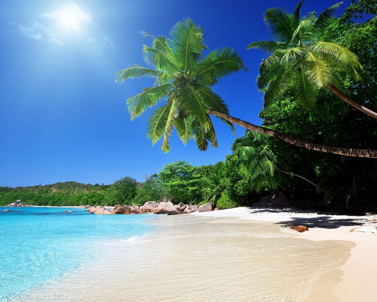 Download wallpapers 1280x1024 beach, sand, palm trees, tropical.