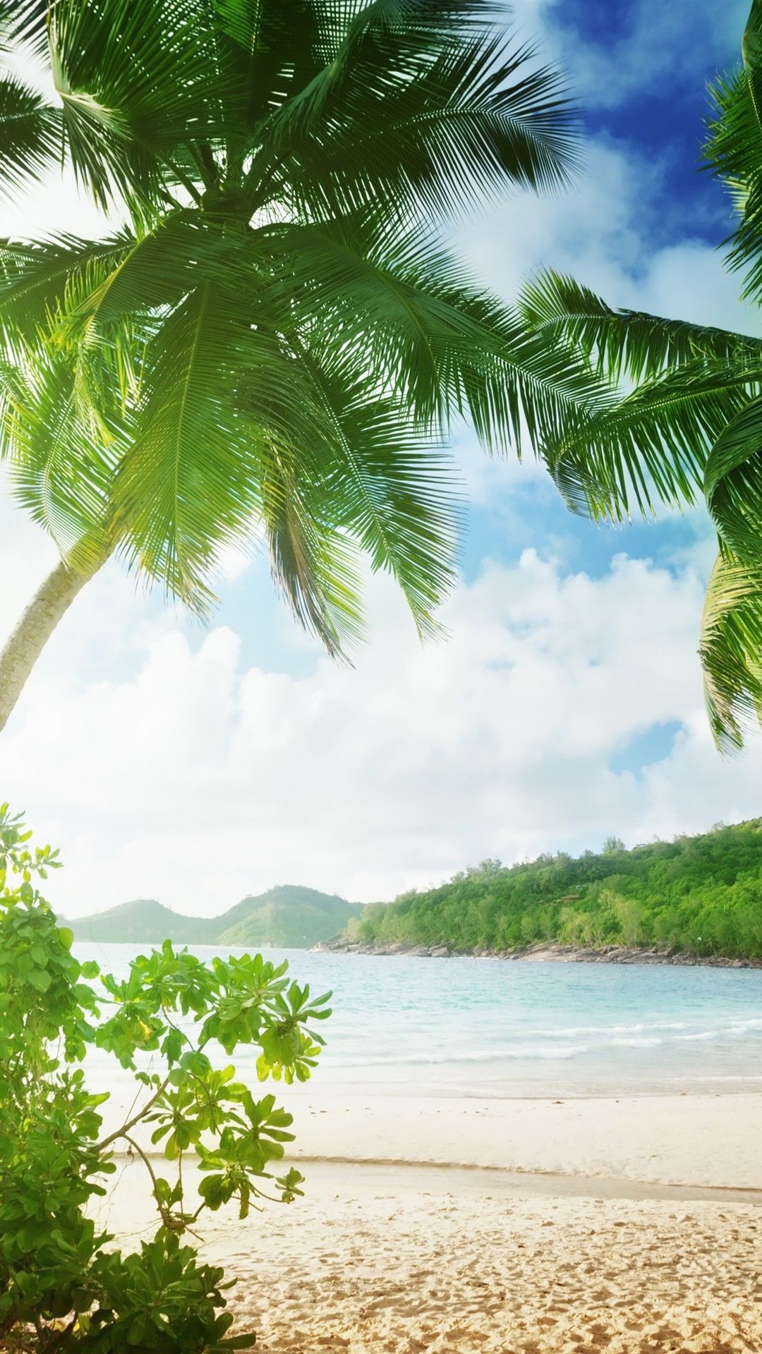 Tropical beach, palm trees, sand, sea, coast, clouds 1080x1920