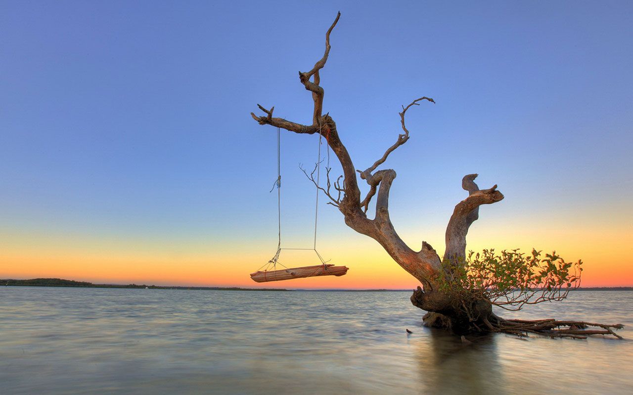 Swing Wallpaper for Desktop Handpicked Wallpaper's Collection