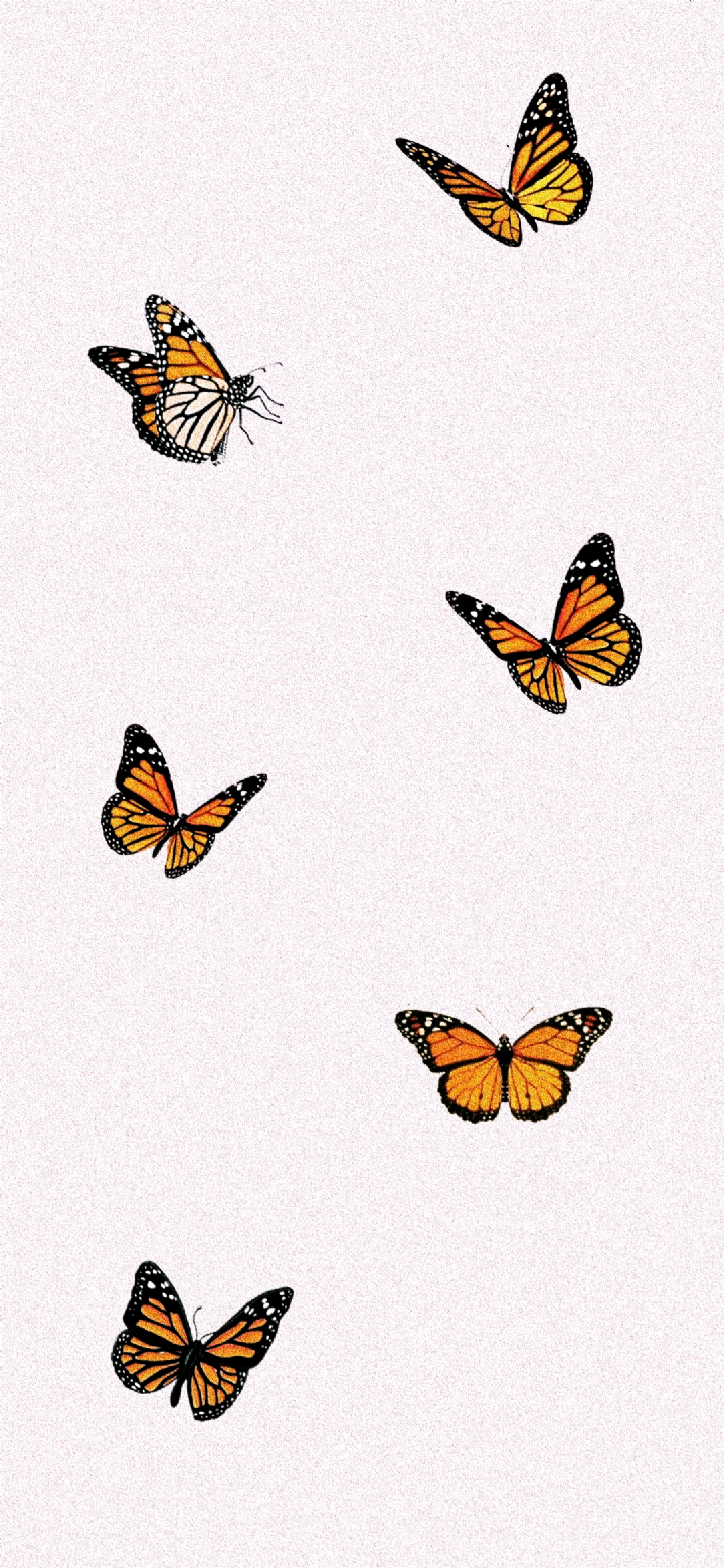 butterfly wallpaper iphone x big pink