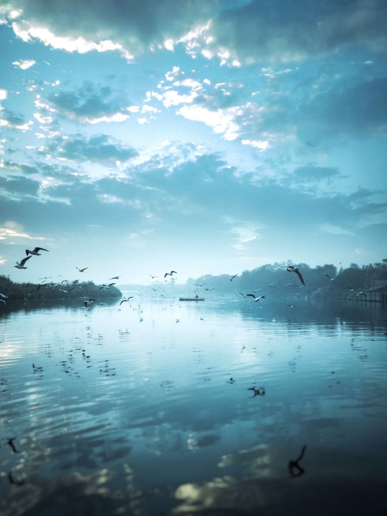 The Best Free High Resolution Photo For Your Phone Wallpaper