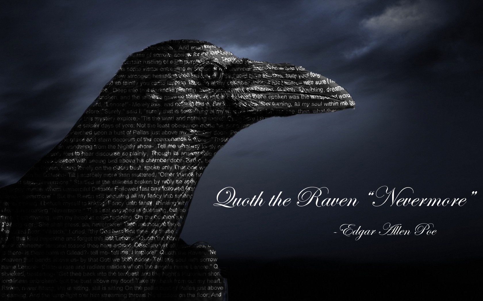 The Raven Wallpapers - Wallpaper Cave