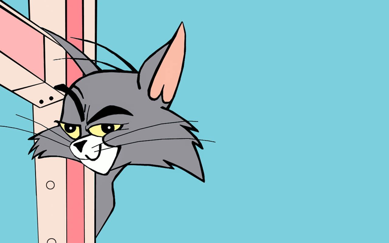 Tom And Jerry Funny HD Wallappers (High Quality). HD Wallpaper
