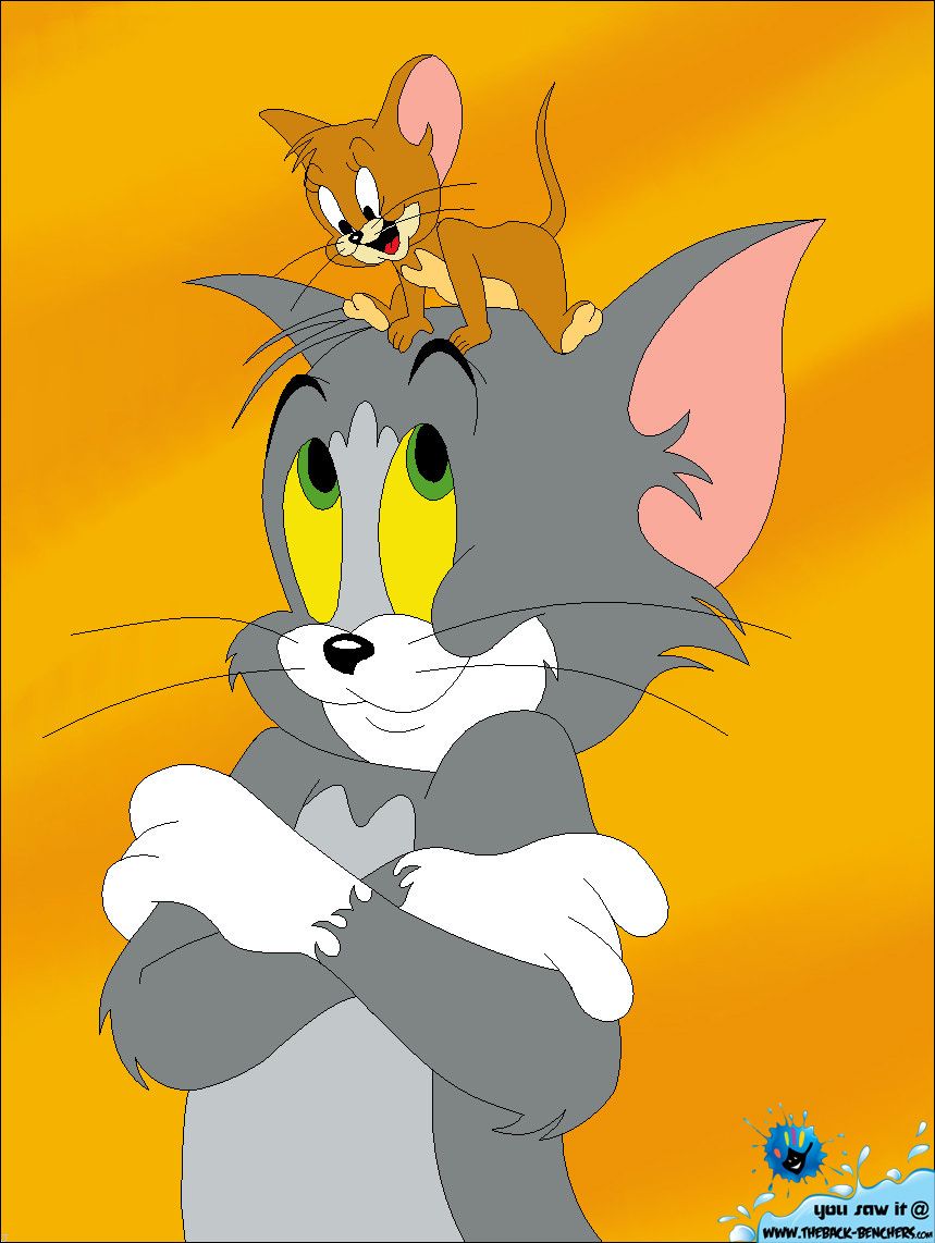 Tom And Jerry Funny Picture